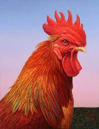 Big Red Rooster Painting Big Red Rooster Fine Art Print Farm Animal Paintings Farm Animal Painting Rooster