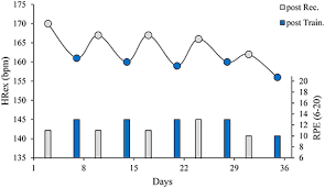 Frontiers Heart Rate Monitoring In Team Sports A