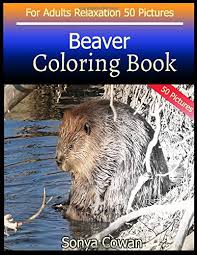 Printables beaver coloring page beavers sometimes conflict with humans over land use. Amazon Com Beaver Coloring Book For Adults Relaxation 50 Pictures Beaver Sketch Coloring Book Creativity And Mindfulness 9798649244923 Cowan Sonya Books