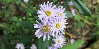 Hello Cathyz OnlyFans Previous Reviewers Noted