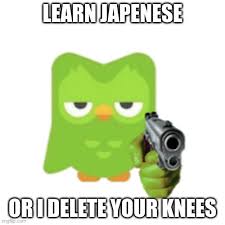 Duolingo - Imgflip