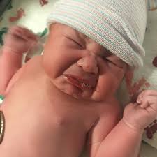 Todd Deibert (@todmicdeibert83) • Instagram photos and videos