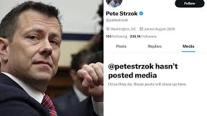 BREAKING: Former FBI agent, Peter Strzok removes all posts from his X  account.