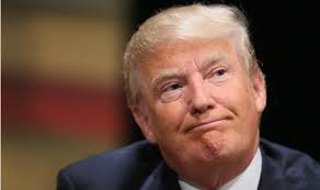 Résultat de recherche d'images pour "trump wind"