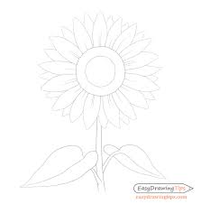 Entdecke die günstigsten preise und shops zu sun flowers bei preis.de. How To Draw A Sunflower Step By Step Easydrawingtips