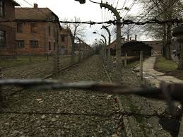 Pecenegii sunt înfrânți de împăratul bizantin alexios i. Am Fost La Auschwitz SÄ Aflu Ce Nu Èi Spun Manualele RomaneÈti De Istorie Despre Holocaust