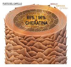 Melanin haircare styling products deliver the highest quality ingredients at affordable prices. Chimica Dei Capelli E Cheratina Il Segreto Dei Capelli Forti