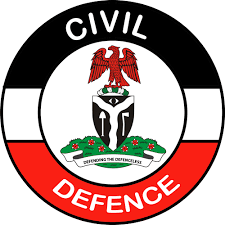 A guarantor form is a document that certifies a guarantor's decision to assume liability if a particular individual does not fulfill the terms of an agreement. Download Nscdc Guarantor Form 2021 Global Times Nigeria