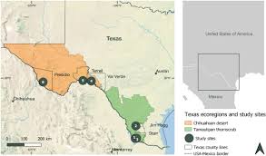 Next on e73 episode 73 e73 today, 12.15pm. Densities Plant Sizes And Spatial Distributions Of Six Wild Populations Of Lophophora Williamsii Cactaceae In Texas U S A Biorxiv