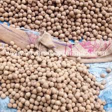 Sapota Fruits In Tamilnadu Buy Chiku Fruit Suppliers In India Chikoo Manufacturers In India Fresh Organic Chiku Fruit Suppliers Product On Alibaba Com