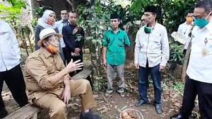 Jenis tanaman ini merupakan satu dari 27 jenis amorphophallus di indonesia dan dari 170 jenis yang dikenal di dunia. Budidaya Tanaman Porang Menghasilkan Rp 800 Juta Per Hektar Ini Manfaat Umbi Porang Warta Kota