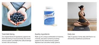 Image result for Equilabium selukwense