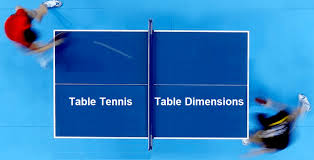 Check spelling or type a new query. Ping Pong Table Dimensions Regulation Vs Non Standard