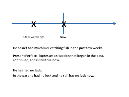 Tom M S Page Unit 9 Grammar Topic 2