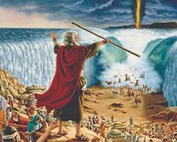 Image of Crossing the Red Sea