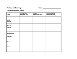 Digestive Molecules Chart