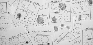 Chemistry Of Essential Oils Why The Functional Group Theory