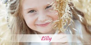 Lilly » Name mit Bedeutung, Herkunft, Beliebtheit & mehr