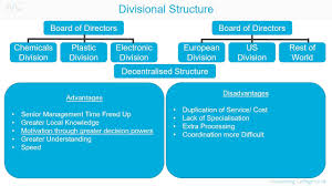 divisional organisational structure a z of business terminology