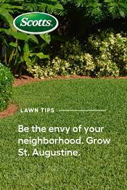 The Hallmark Blue Green Blades Of Grass In A St Augustine Lawn Will No Doubt Be The Envy Of Your Neighborhood Learn Everything Plants Grass Warm Season Grass