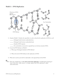 Dna Structure And Replication Worksheet Answer Key In 2020 Worksheet Template Dna Replication Color Worksheets