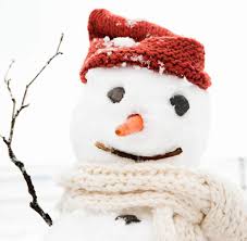 So gibt es zum beispiel einen plan, wann wer die gartenarbeit oder den hausputz machen muss. Winter Was Sie Schon Immer Uber Schnee Wissen Wollten Welt