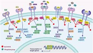 Image result for Baricitinib
