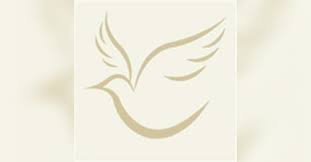 Stacy Thackxton Obituary