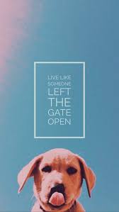 Iphonewallpaper Background Iphone Quote Iphone Background Quote Wallpaper Iphone Quotes Dog Wallpaper Iphone