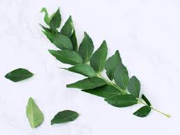 Neem trees also grow in islands located in the southern part of iran.its fruits and seeds are the source of neem oil Curry Leaves Stalk S Southeast Asian Ingredients Nyonya Cooking