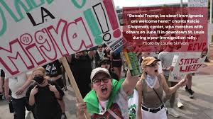 Lzdm-014 ntrレズビアン 僕の妻は.