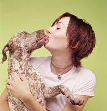 Expert Reveals The Reason You Should Never Let Your Dog Lick Your Face And Why It Could Be Deadly