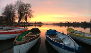 The Meare Shop & Tearoom