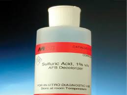 Антитела igg к echinococcus granulosus. Product Catalog