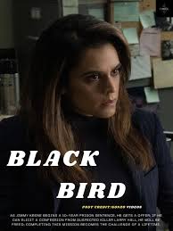 Limited series blending crime and psychological drama