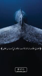 حيث تجتمع الظ لمات الثلاث ظ لمة الليل والبحر وبطن الحوت أحدهم ي نادي فمن ه و ف ن اد ى ف ي الظ ل م ات أ ن ل ا إ Pictures Islamic Quotes Poster