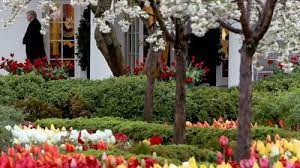The first lady on monday announced plans to renovate the space. Melania Trump To Announce Rose Garden Renovation Foxcarolina Com
