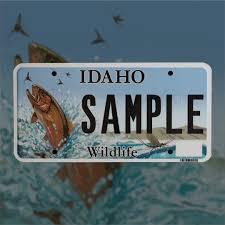 Image result for Federal Yellow 1956 Idaho State of