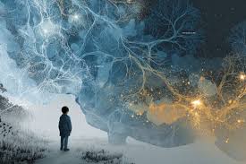 Dit zie je op het OnlyFans account van Nicole Kremers - Een vergelijking met Mdemma's populaire content