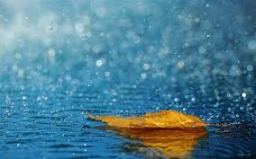 Rainy mood 是一个提供在线下雨声，并配有一幅正在下雨的背景。 白噪音听起来并不那么刺耳，但是它可以使人忽略噪杂的环境。 同时，rainymood 每天还会提供一首. ä¸‹é›¨äº†æœ€è´´å¿ƒçš„é—®å€™è¯­