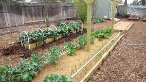 Fertilizers to use for mittleider gardening. The Mittleider Gardening Method Answers To All Of Your Questions