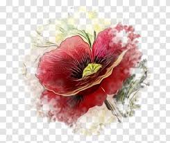 In 1915, o'keeffe painted a watercolor of a bouquet of red canna blossoms on paper. Red Watercolor Flowers Poppy Floristry Anemone Transparent Png