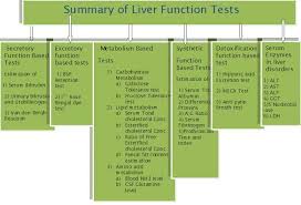 Image result for Liver Function Test