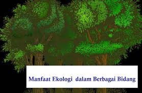 Kata kata hikmat ini kepentingan ilmu dalam kehidupan. 15 Manfaat Ekologi Dalam Berbagai Bidang Kehidupan Guru Sains