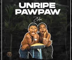 Zlatan Ibile Unripe Pawpaw In 2020 Music Download New Music Cool Lyrics