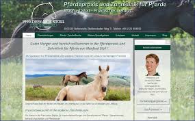 Praxishomepage für eine Tierarztpraxis erstellen