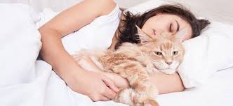 We did not find results for: 45 Tahun Menikah Pasutri Di Singapura Bercerai Gara Gara Sang Istri Terobsesi Dengan Kucing Kabar6 Com