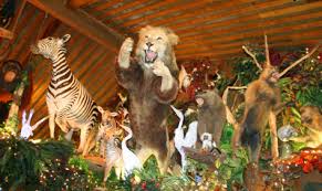 The jacksonville florida day trips and one tank trips described on this website are all within 100 miles of jacksonville. Jacksonville Day Trips Within 100 Miles Or Less