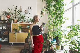 Bakker.com ti consegna le tue piante preferite direttamente a casa. Piante Da Interno Il Segreto E L Umidita Assistenza Casa