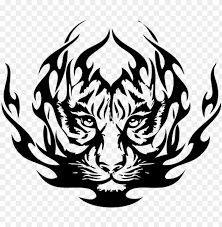 The geometric shapes and swirls of the tribal tattoo style work very well on tiger tattoos. Clip Freeuse Download Tattoo Clipart Tribal Tiger Tattoo Desi Png Image With Transparent Background Toppng